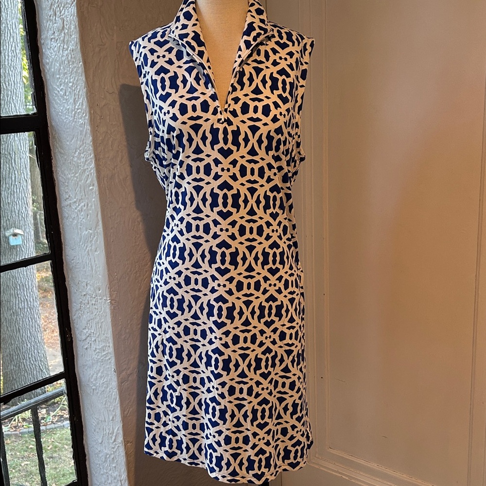 Gottex Blue and White Dress/Coverup